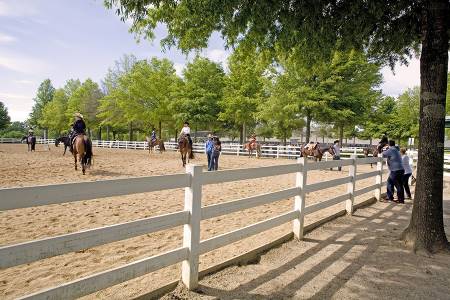 Things to Do in Conyers, GA This Spring